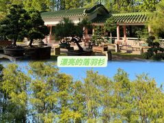 -名树园