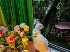 -EVA咖啡小酒馆