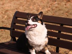 -济南国际园博园