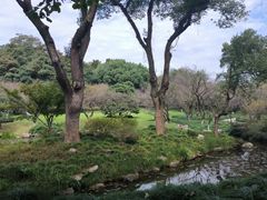 -杭州植物园