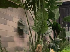 -陈熹公民族美食文化餐厅(中华广场店)