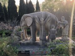 -石家庄市植物园