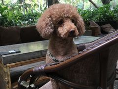 -JUKEBOX玖部音乐餐厅(华侨城店)