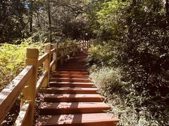 -广州市白云山风景名胜区