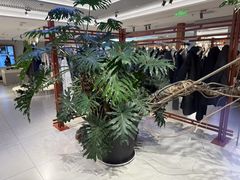 -江南布衣+(西单大悦城店)