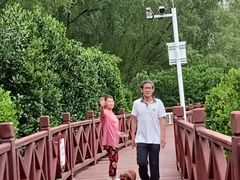 -大亚湾红树林城市湿地公园