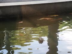 景观位-锦江都城闵行饭店