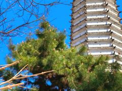 -舍利塔滩地公园-无垢净光舍利塔