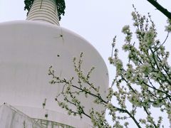 -北海公园