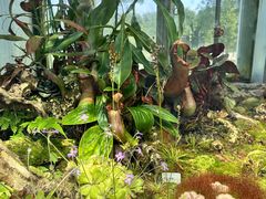 -国家植物园南园