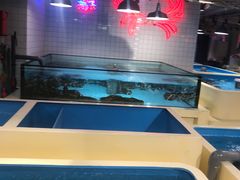 水产区-日进一片海.生腌海鲜火锅.宵夜烧烤(三里屯总店)
