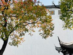 -老门东历史文化街区