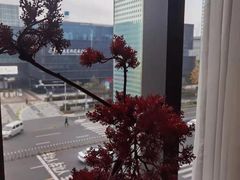 -新盈光·心院(嘉恒广场店)