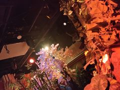 -暴风岛沉浸式体验馆(百联世纪店)