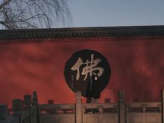 -百脉泉景区