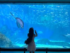 -海合安成都极地海洋公园
