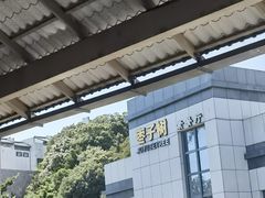 -枣子树·素食餐厅(朱家尖店)