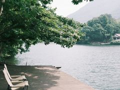 -原乡芦茨咖啡