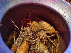 -钳真多钓虾馆·小龙虾海鲜烧烤(九六广场店)