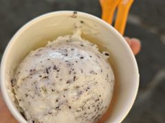 -iceason爱茜茜里·意大利健康冰淇淋(骑龙巷店)