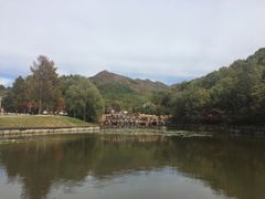 -吉林市朱雀山国家森林公园