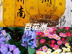 -百花洲