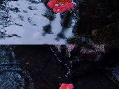 -拙政园