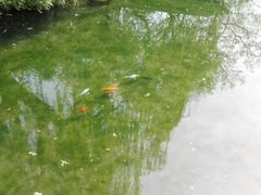 -宁波五龙潭景区