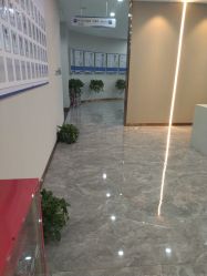 -碧莲盛·不剃发植发