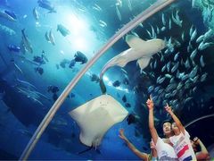 -华夏文旅海洋公园