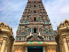 -罗汉果龙眼冰糖燉冬瓜