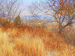 -北京西山国家森林公园