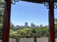 -莲花池公园