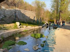 -白水寺森林公园