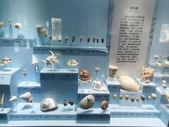 -温州博物馆