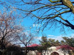 -杭州植物园