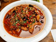 秘制泰安鱼-龙翔山庄雷鸡肉(青城后山泰安古镇店)