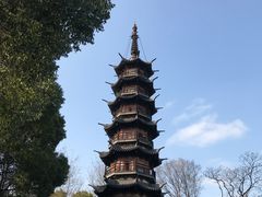 -上海佘山国家森林公园西佘山园