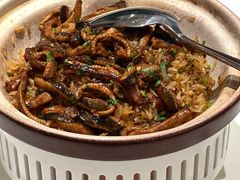 -侨美·唐荔园·40年地道粤菜