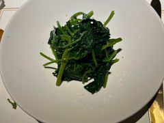 -觀芷隐轩