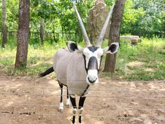 -大连森林动物园