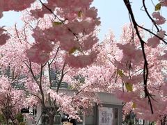 -首开·龙湖成都西宸天街