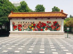 -神州牡丹园