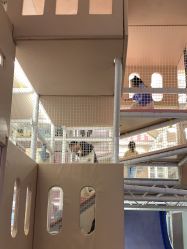 -超级奈尔宝SUPER NEOBIO(杭州星光店)