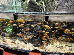 -太平洋海底世界