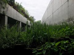 门面-中国湿地博物馆