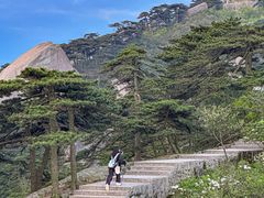 -天柱山风景区