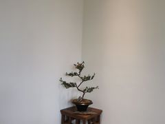 -小茶闲舍·观景商务茶馆(广州塔店)