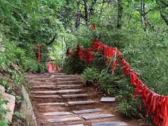 -少华山国家森林公园