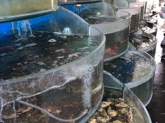 -叶存利海鲜大馅饺子(东戴河止锚湾店)
